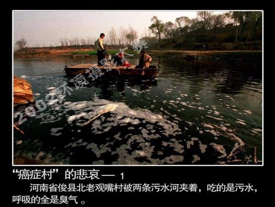 八年级语文敬畏自然_第3页