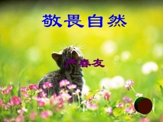 八年级语文敬畏自然