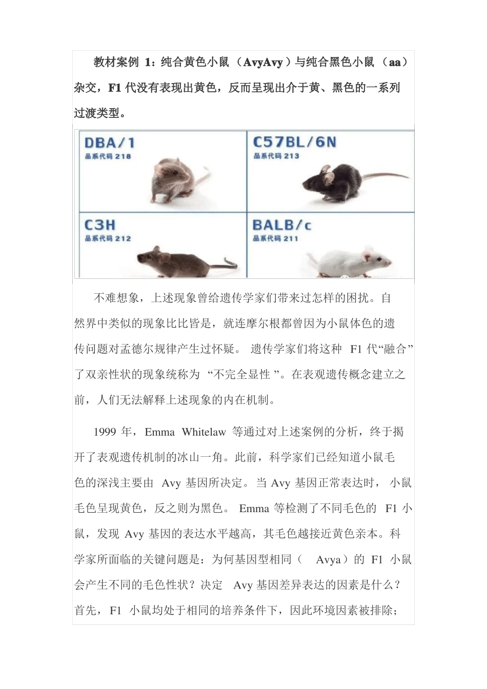 高中生物学中的表观遗传学_第2页