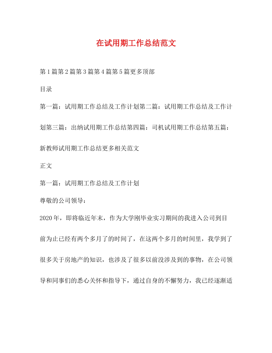 在试用期工作总结范文_第1页