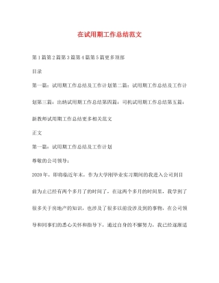 在试用期工作总结范文