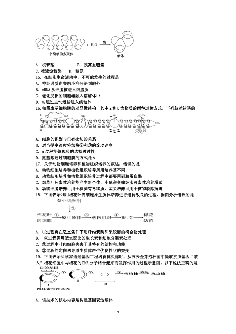 2014-2015高二生物第二学期段考二_第3页