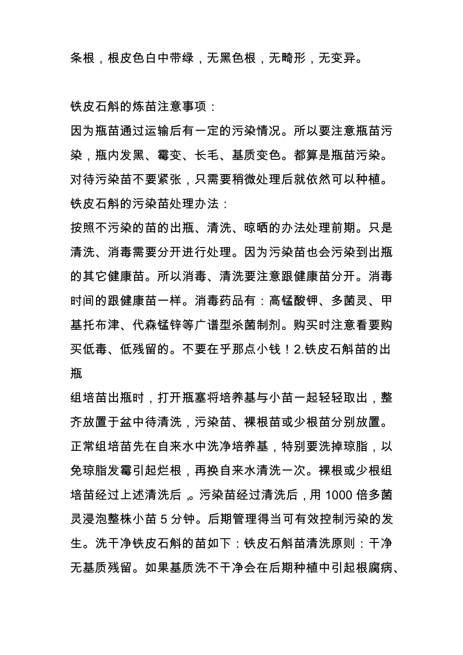 铁皮石斛种植全过程图文教程_第3页