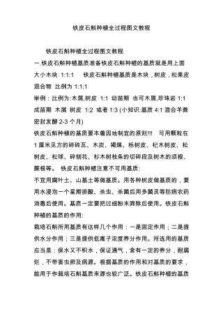 铁皮石斛种植全过程图文教程