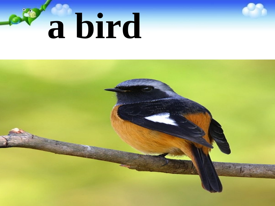 四上Unit4Theseareflowers_第2页