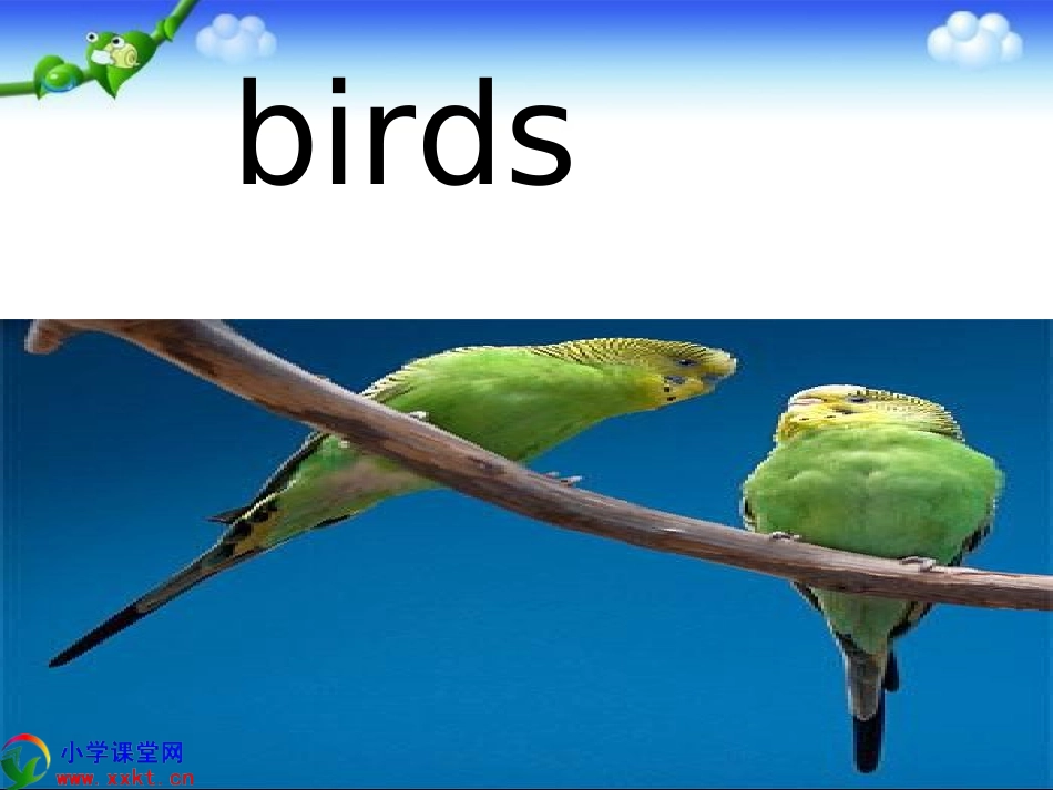 四上Unit4Theseareflowers_第3页