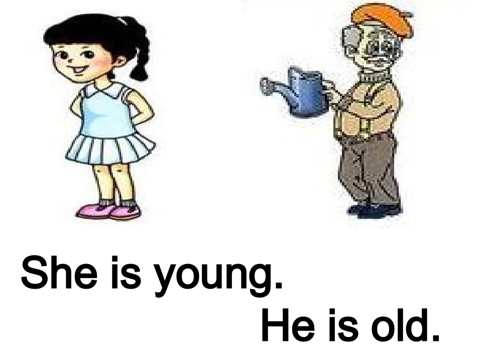 新版五年级上Unit1Whatdoesshelooklike-_第3页