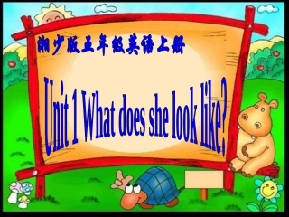 新版五年级上Unit1Whatdoesshelooklike-