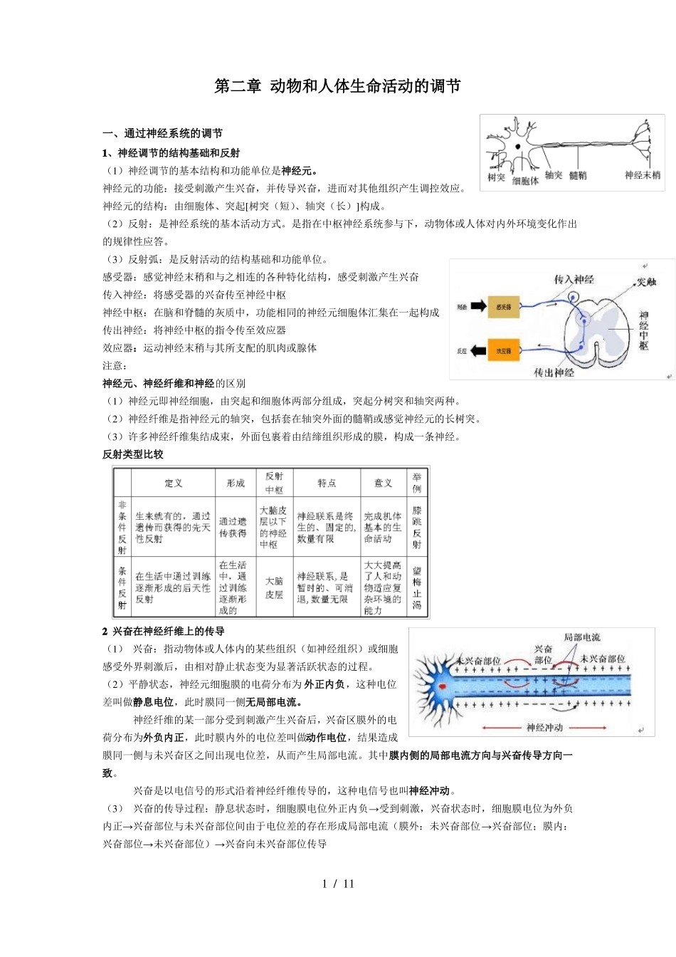 高中生物必修三动物和人体生命活动的调节知识点总结_第1页