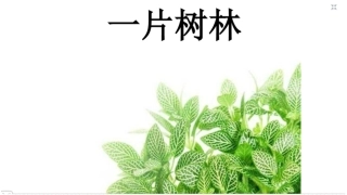 中班美术《一片树林》