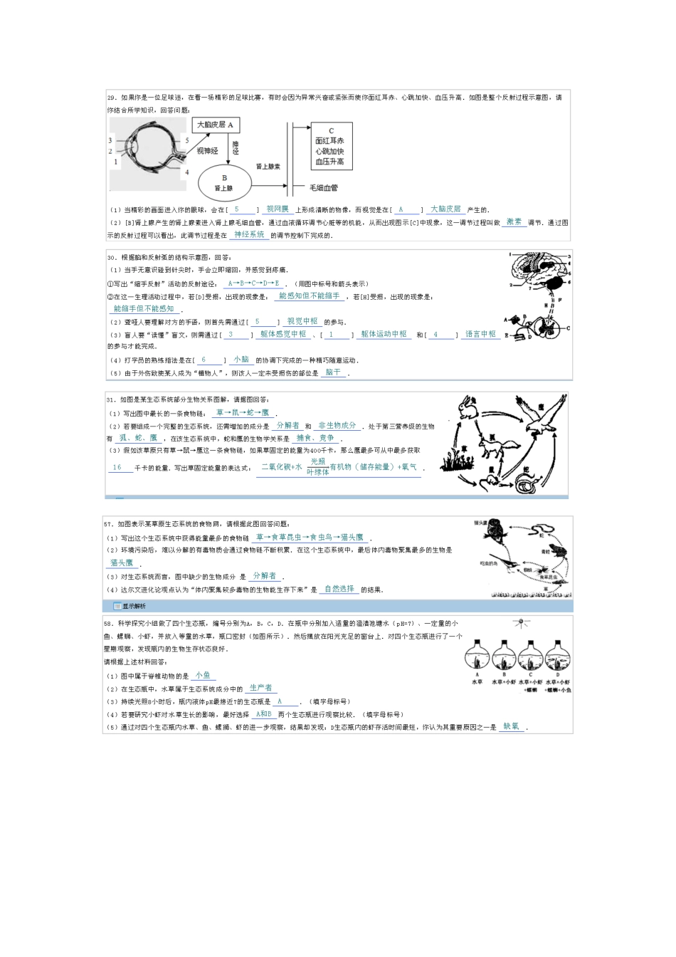 生物历年中考图题汇总1_第3页