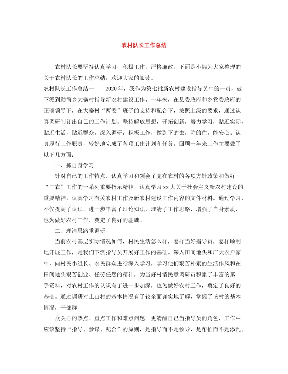 农村队长工作总结_第1页