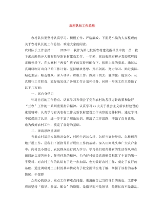 农村队长工作总结