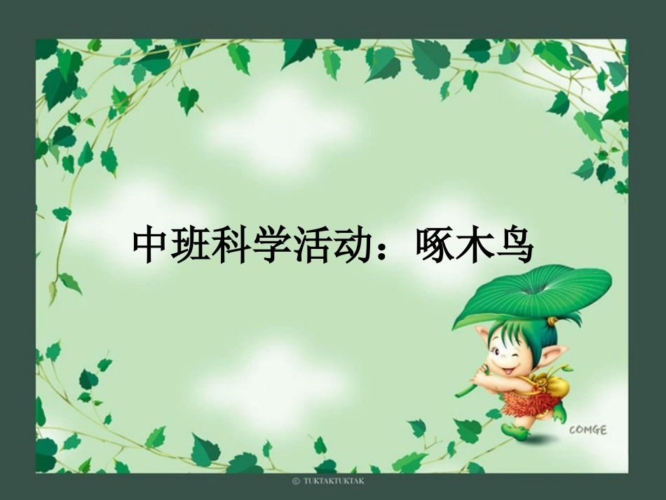 中班科学教案：啄木鸟(课件)_第1页