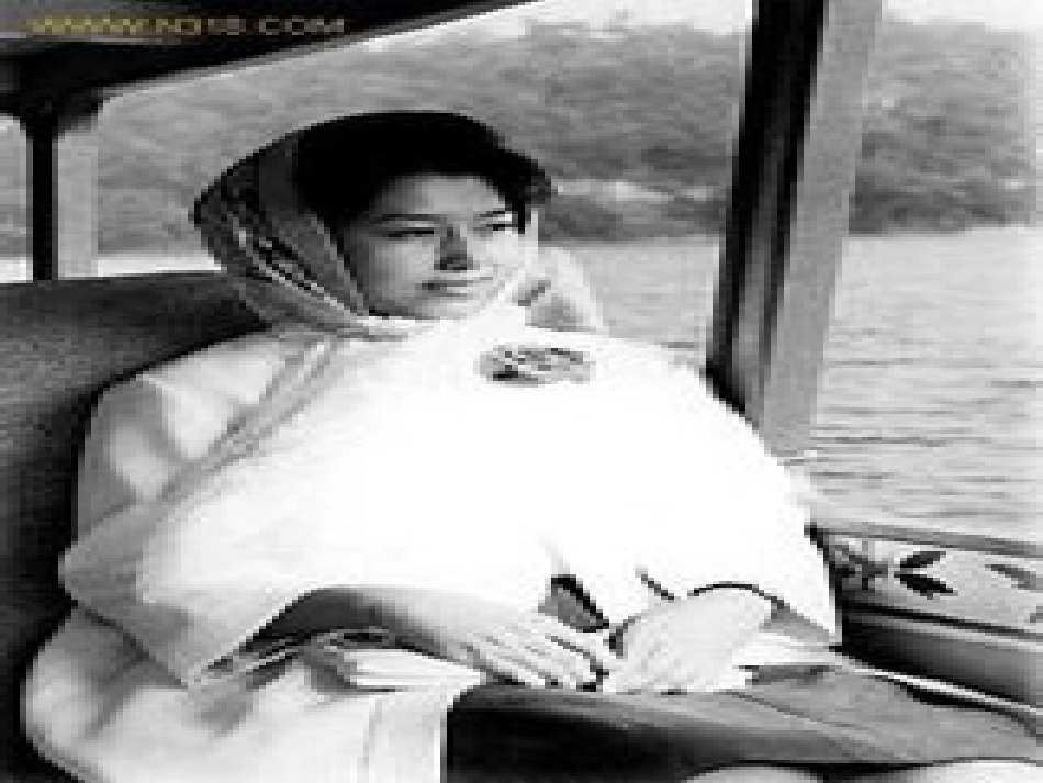 演示文稿1 (5)_第3页