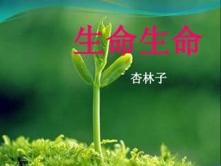 演示文稿1 (5)