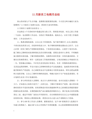 11月新员工电销月总结