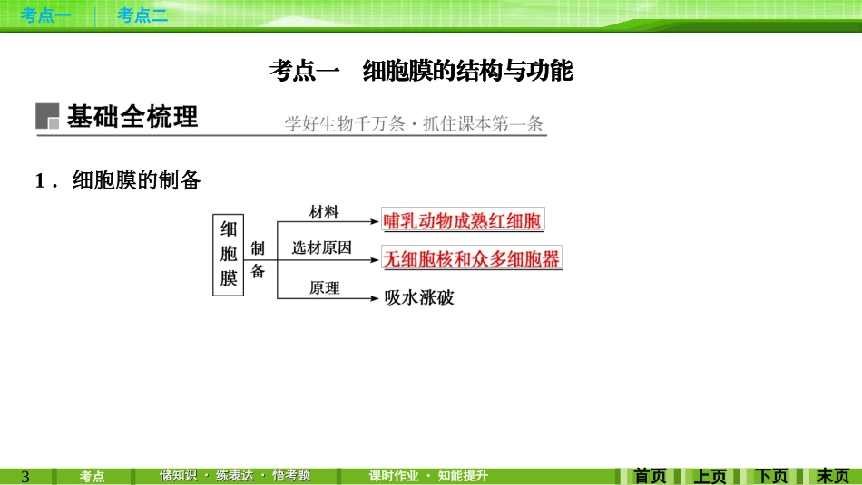 第4讲细胞膜(含流动镶嵌模型)与细胞核_第3页