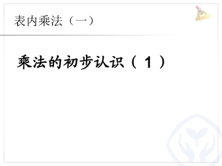 乘法的初步认识（）