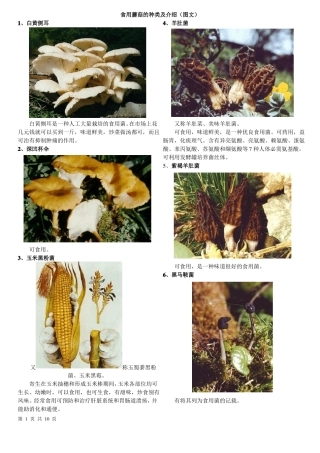 食用蘑菇的种类及介绍图文