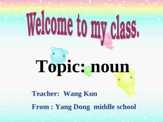 初中语法精讲--名词