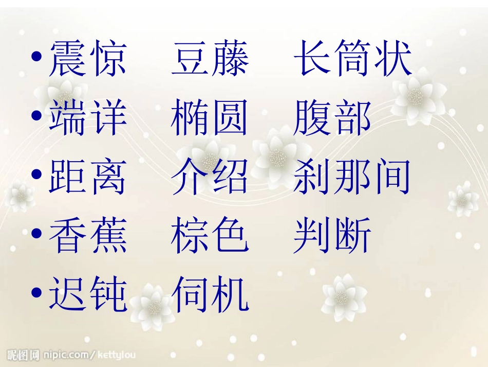 苏教版五年级上《变色龙》课件_第3页