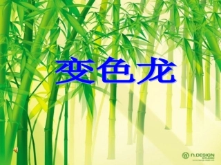 苏教版五年级上《变色龙》课件
