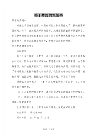 关于梦想的策划书
