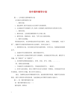 初中课外辅导计划 