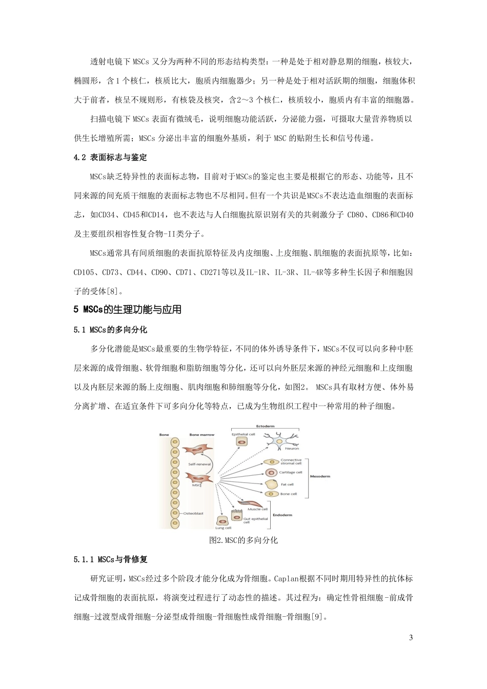 间充质细胞汇总_第3页