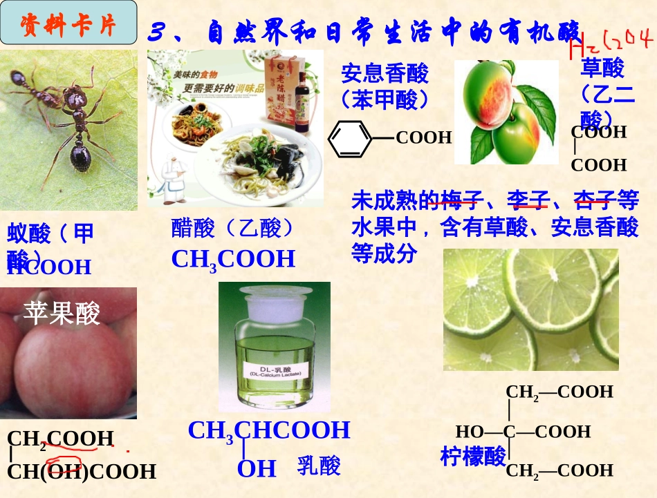 高二化学彭玲《羧酸》课件_第3页
