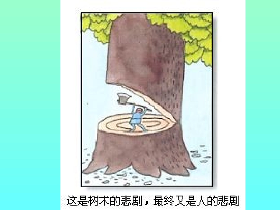 _森林的开发和保护——以亚马孙热带雨林为例_第3页