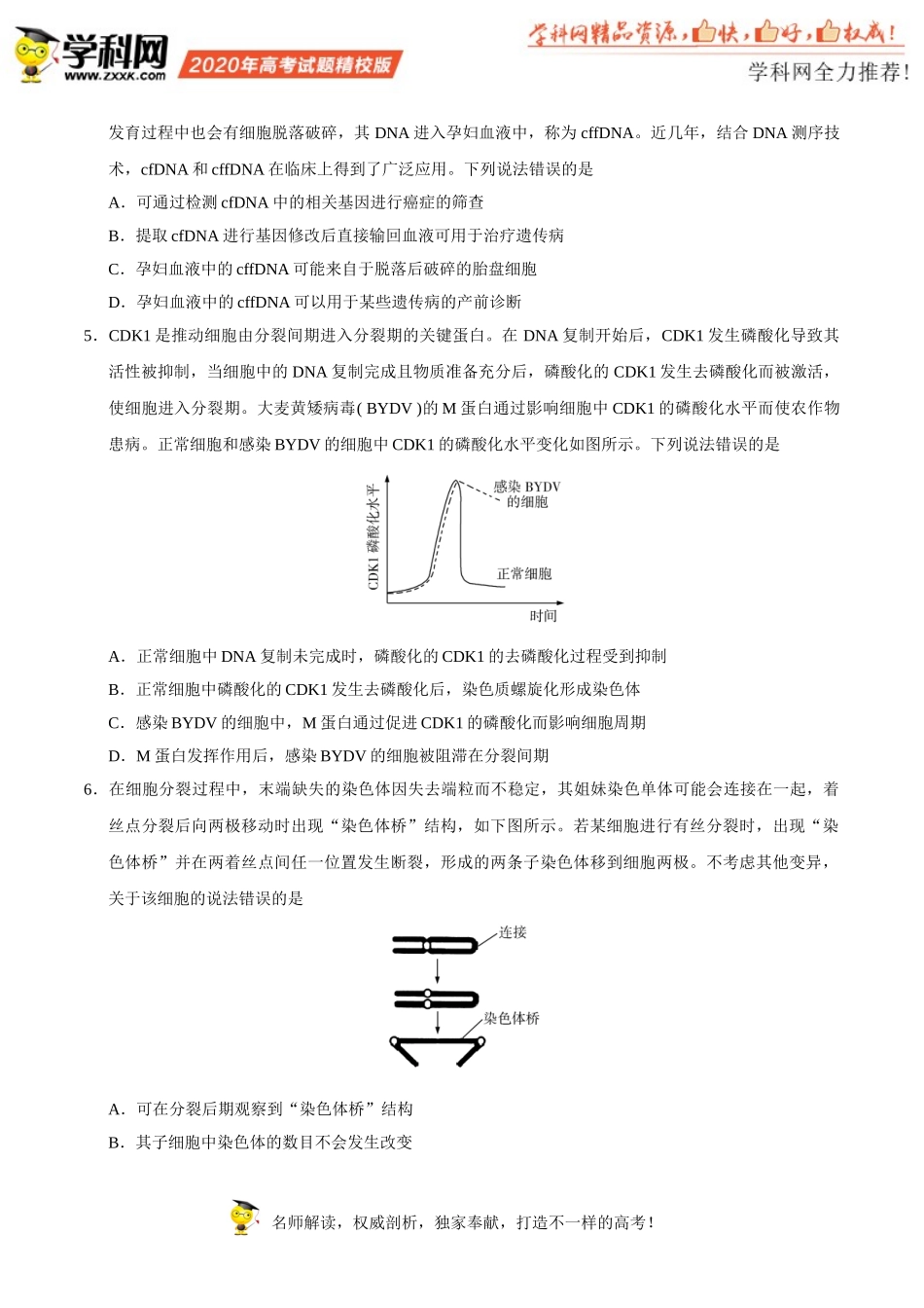 （精校版）2020年新高考全国卷Ⅰ生物高考试题文档版（山东）（含答案）_第2页