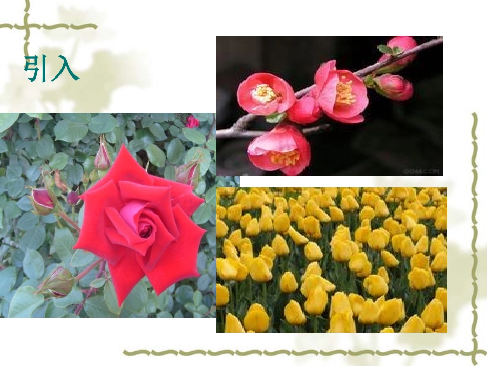 怒放的生命作文指导_第1页