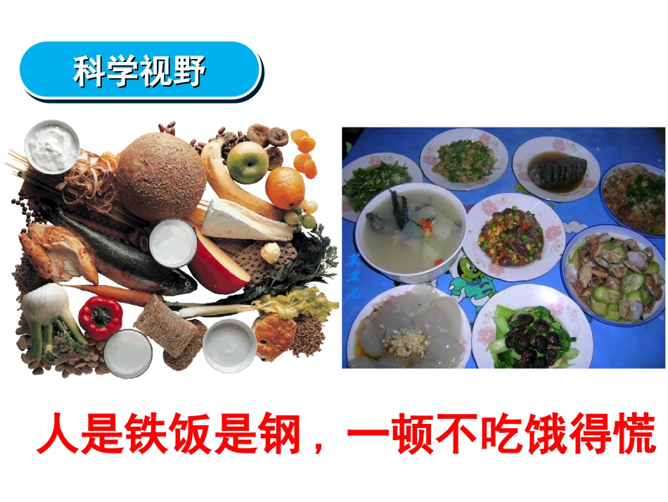 基本营养物质_第2页