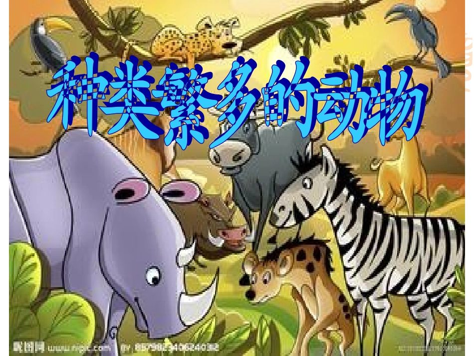 六上四4种类繁多的动物_第1页