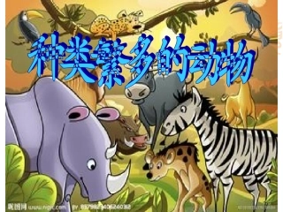 六上四4种类繁多的动物