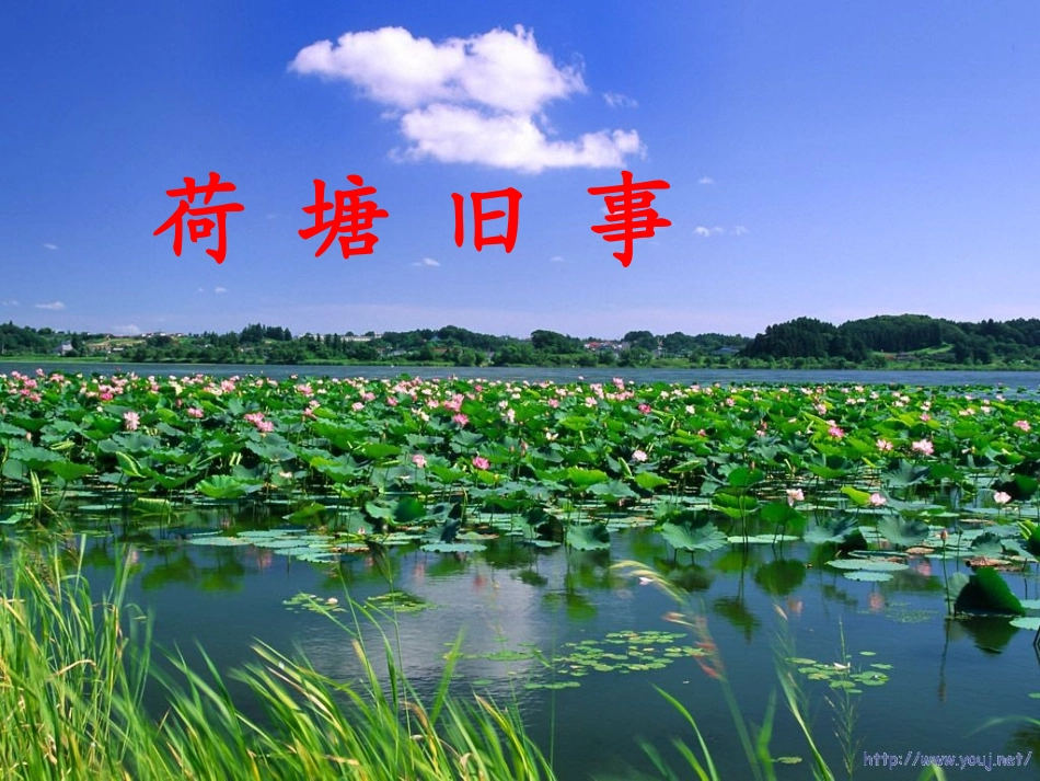 荷塘旧事 (2)_第3页