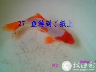 鱼游到了纸上 ()