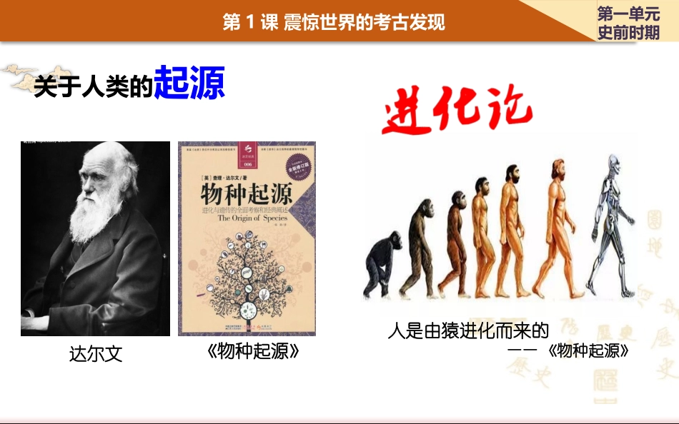 第一课震惊世界的考古发现_第3页