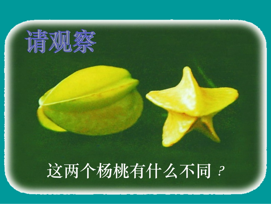 《画杨桃》课件 (2)_第2页