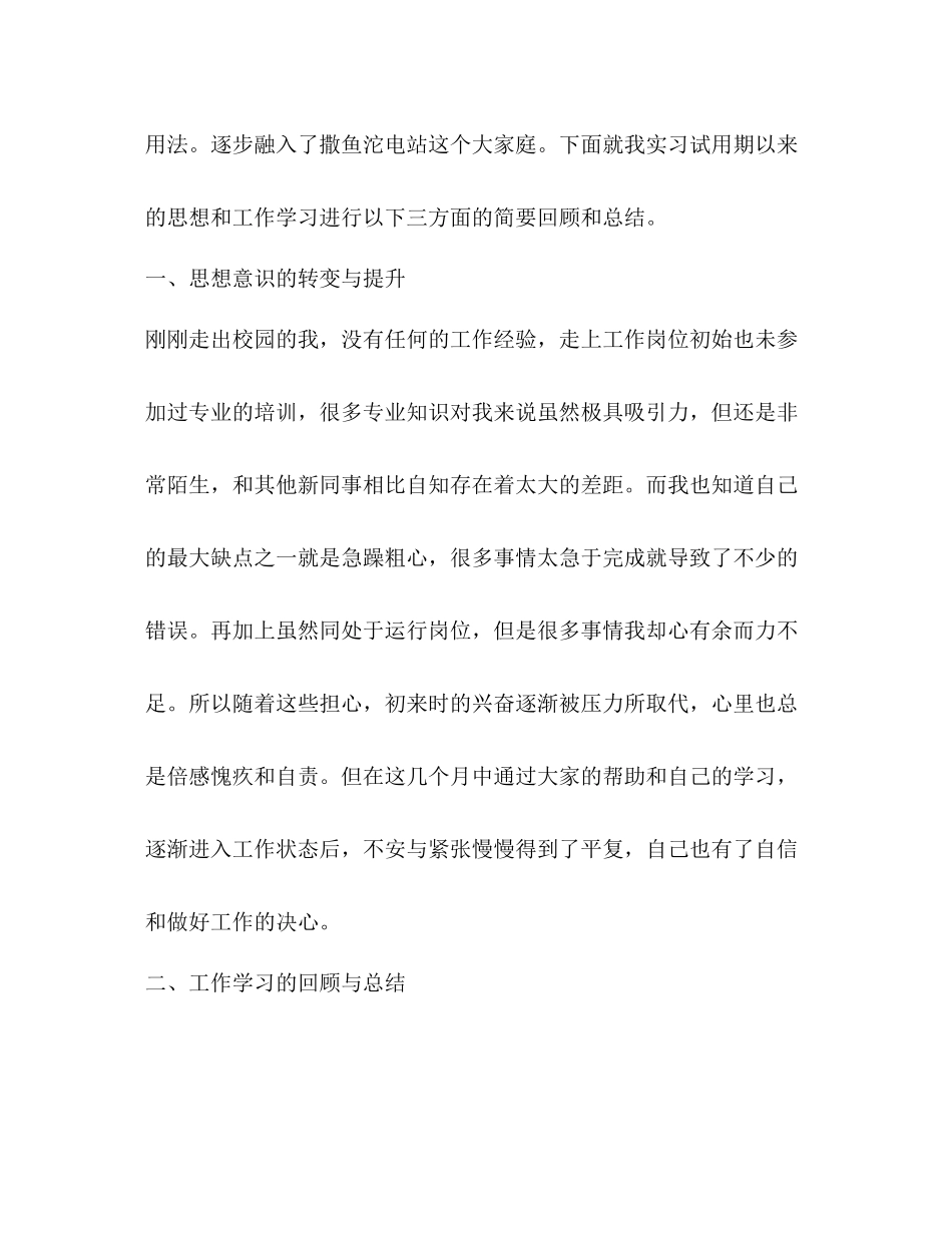 水电站试用期工作总结_第2页