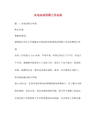 水电站试用期工作总结