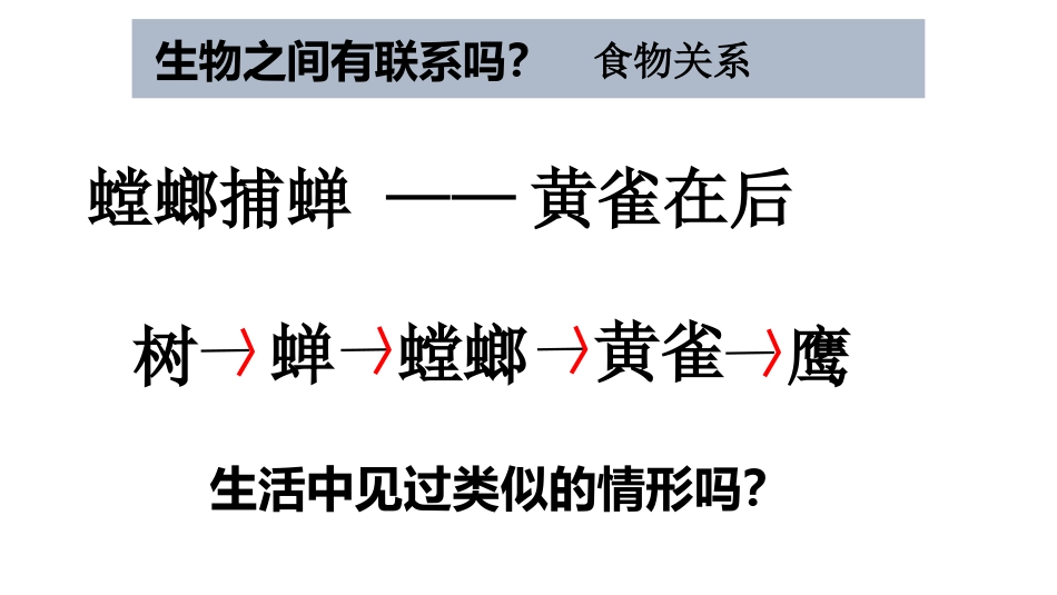 五上1-5《食物链和食物网》_第2页