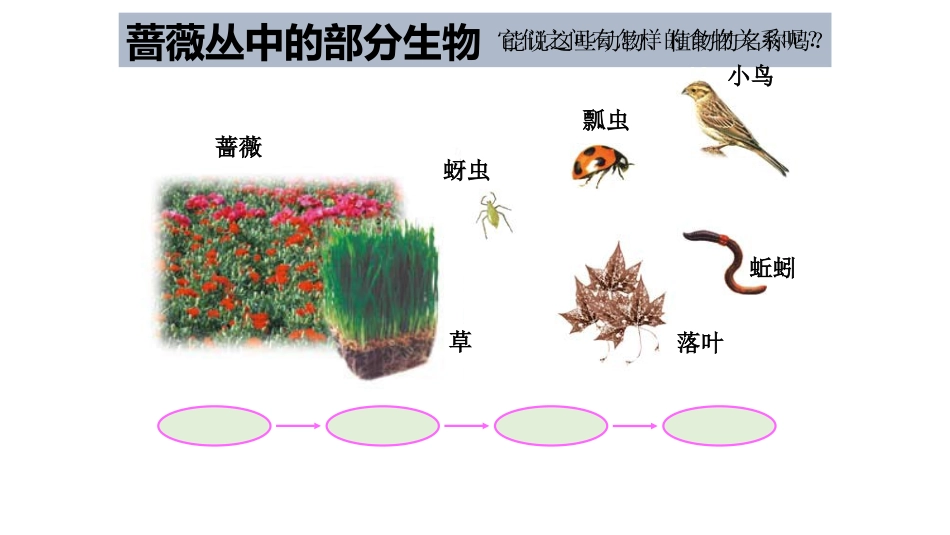 五上1-5《食物链和食物网》_第3页