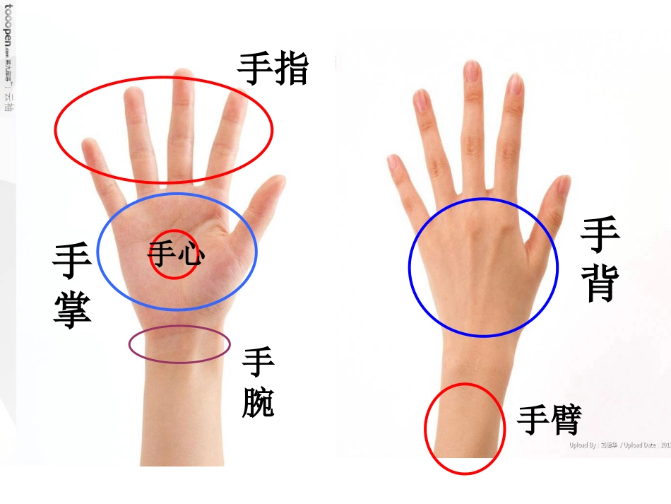 口耳目第一课时_第3页