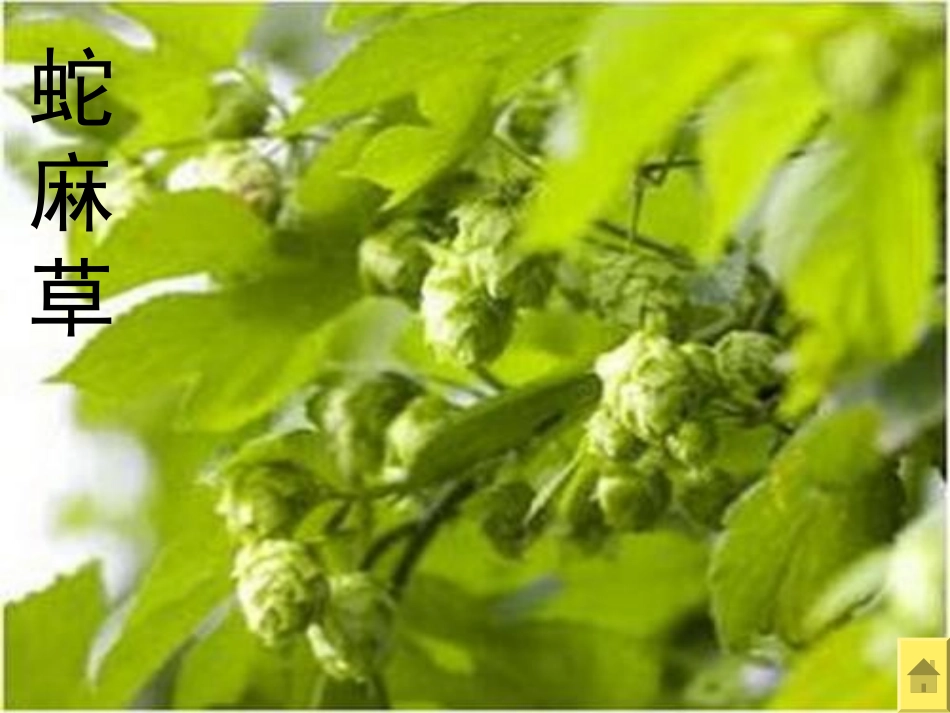 自然界的时钟_第3页