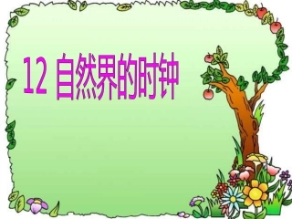 自然界的时钟
