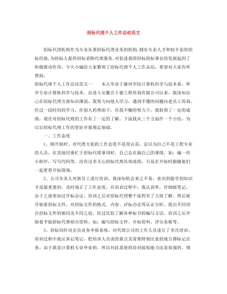 招标代理个人工作总结范文