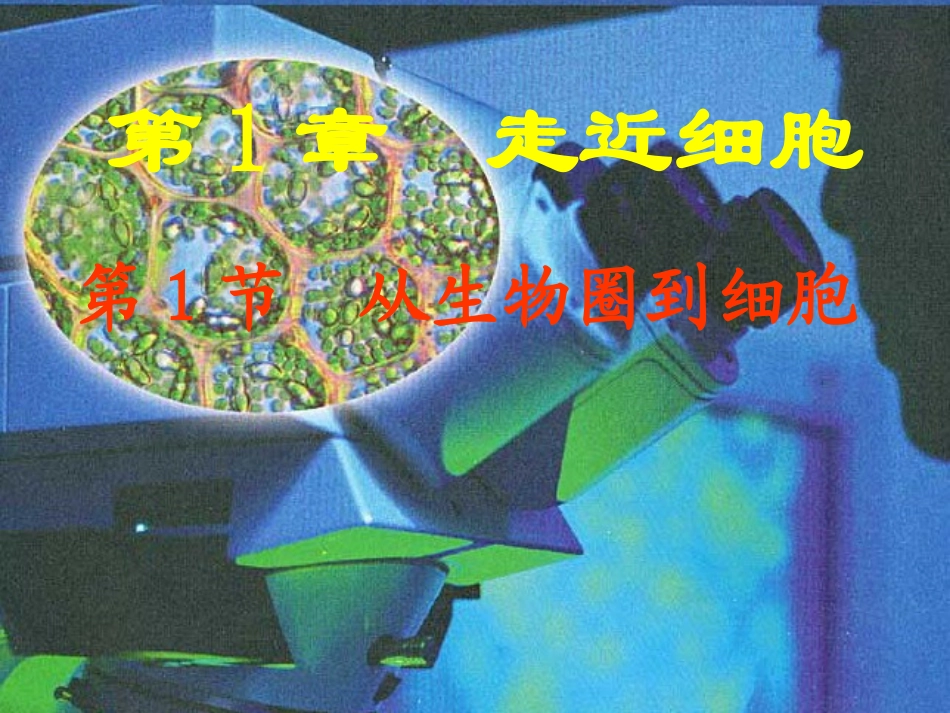 第1节从生物圈到细胞_第1页